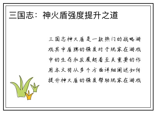 三国志：神火盾强度提升之道