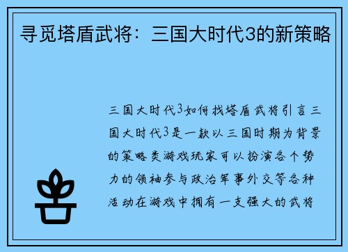 寻觅塔盾武将：三国大时代3的新策略